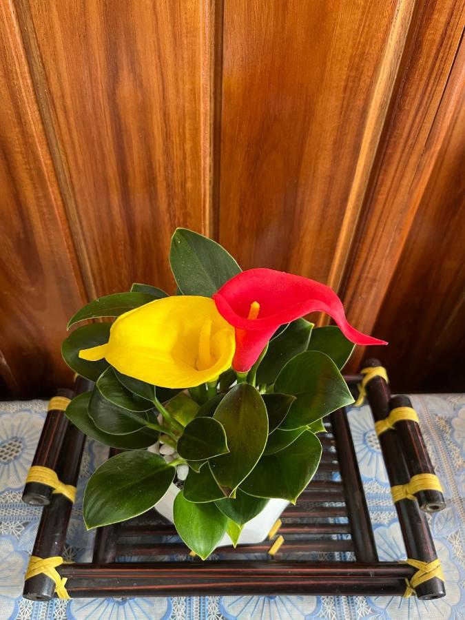 Love Homestay & Spa Quy Nhon Buitenkant foto